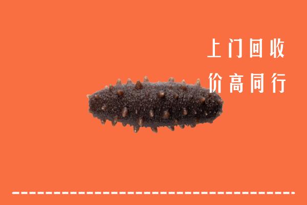 高价求购：襄樊回收海参