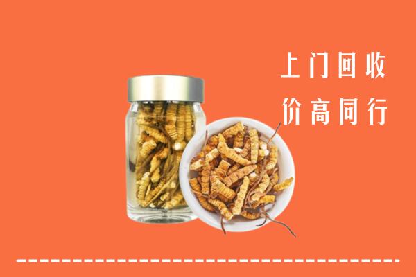 襄樊回收冬虫夏草