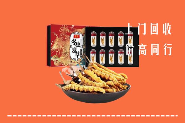 襄樊回收虫草